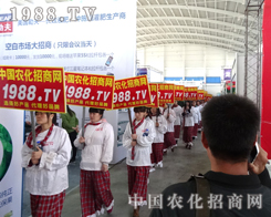 2014��ꖷ��ϕ��ϵĊW�\����