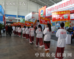 �r(n��ng)���W(w��ng)��һֱ��ģ������δ����Խ